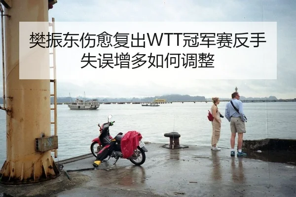 樊振东伤愈复出WTT冠军赛反手失误增多如何调整